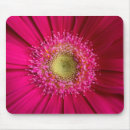 Suche nach gerbera mousepads Natur