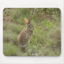Recherche de charme tapis souris Lapin