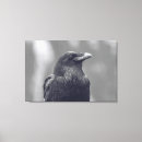 Suche nach weiße federn leinwandbilder Tierwelt
