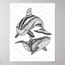Recherche de orque posters Épaulard