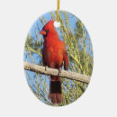 Recherche de cardinal photo ornements Photographie