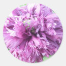 Suche nach september aufkleber Blume