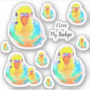 Suche nach budgerigar Haustiere