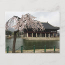 Recherche de fleur de sakura cartes postales Asie