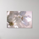 Suche nach kirsche leinwandbilder Blume