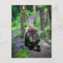 Recherche de se promener cartes postales Marche