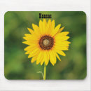 Suche nach wilde sonnenblumen mousepads Gelb