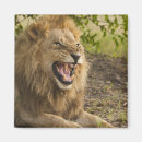 Recherche de animaux menacés magnets Faune