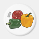 Recherche de poivron magnets Capsicum