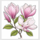Recherche de branches de magnolia Feuilles