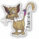 Suche nach katzenaugen aufkleber Katzengesicht