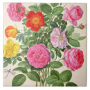 Suche nach pre 19th fliesen Jakob