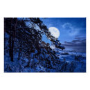 Recherche de sapin posters Nuit