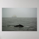Suche nach tall poster Fotografie