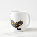 Recherche de salamandres tasses Jaune