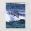 Recherche de dauphins sautants posters Animal