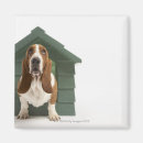 Recherche de personne de chien magnets Tir de studio
