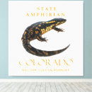 Suche nach amphibien Salamander