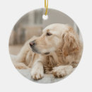 Suche nach golden retriever ornamente Liebe