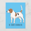 Suche nach beagles postkarten Hunde