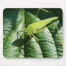 Suche nach insekt mousepads Grasshopper