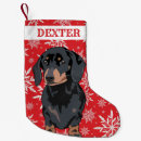 Recherche de saucisse chaussette de noël Doxie