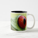Recherche de rouge épaulé tasses Nature