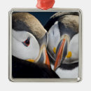 Recherche de macareux ornements Animal