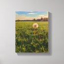 Suche nach löwenzahn kunst Natur