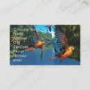 Suche nach macaw visitenkarten Federn