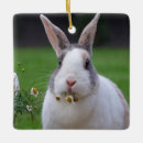 Recherche de lapins ornements Pâques