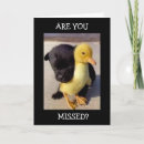 Recherche de minute vœux cartes Chien