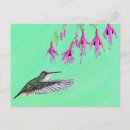 Suche nach hummingbird postkarten Hummingvogelpostkarte