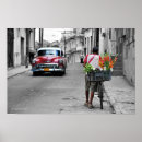 Suche nach floristen poster Farbe