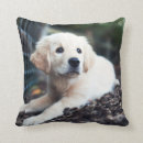Suche nach labrador welpe kissen Haustier