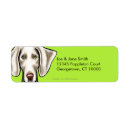 Recherche de weimaraner Animaux familiers