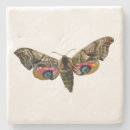 Suche nach raupe untersetzer Schmetterling
