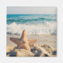 Suche nach seestern magnete Ozean