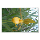 Recherche de glissière posters Fleur