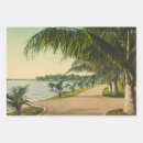 Recherche de palm beach papier cadeau Plage de palmiers