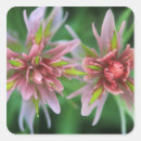 Recherche de alberta canada autocollants Parc