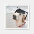 Recherche de canin serviettes Chien