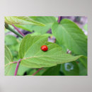 Suche nach einsam poster Rot