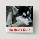 Recherche de husky badges Huskies