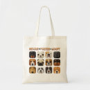 Recherche de adopté sacs Dog