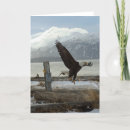 Suche nach landung karten Adler