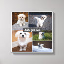 Suche nach trendy leinwandbilder Grau