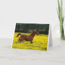Recherche de fonctionnement vœux cartes Chevaux