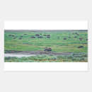 Suche nach amerikanischer bison aufkleber Natur