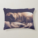 Recherche de de chiot de carlin coussins Animaux familiers